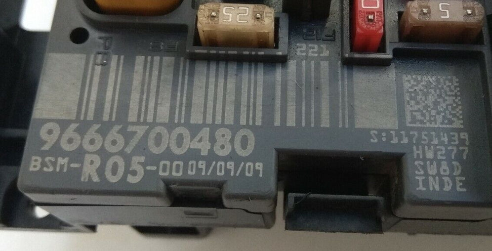 BSM Peugeot / Citroën 9666700480 BSM-R05-00